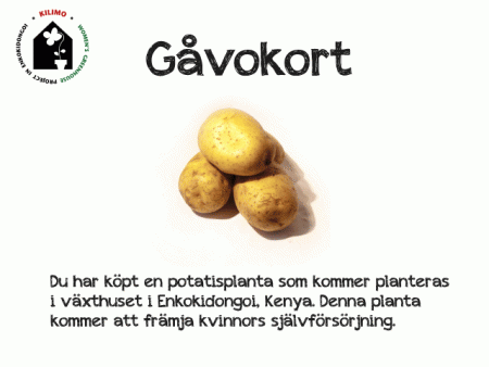 Gåvokort, potatisplanta